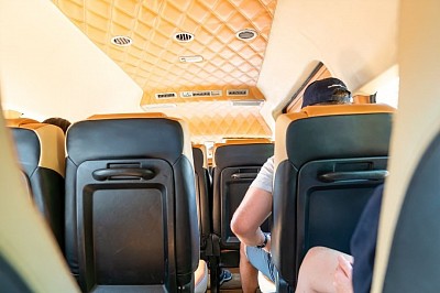 Mini-van Green Paradise